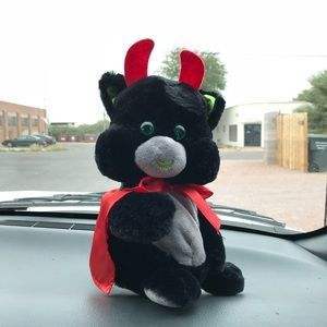 Meet your Posher, Ellen